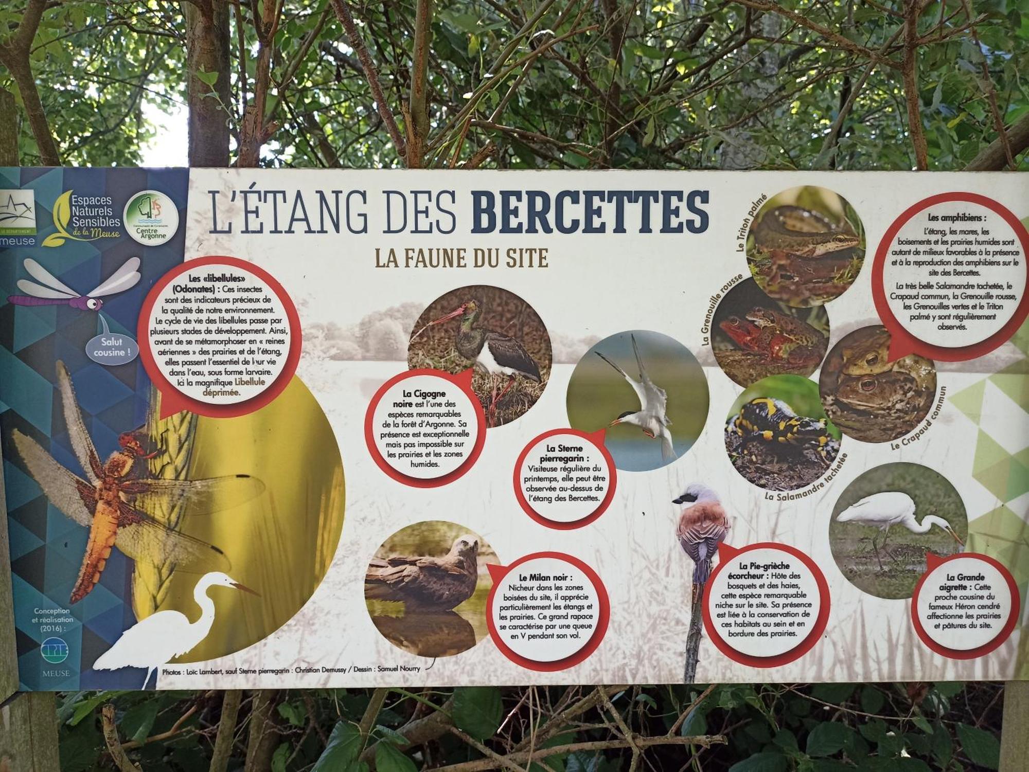 Gite Nature Et Detente Aubréville 외부 사진