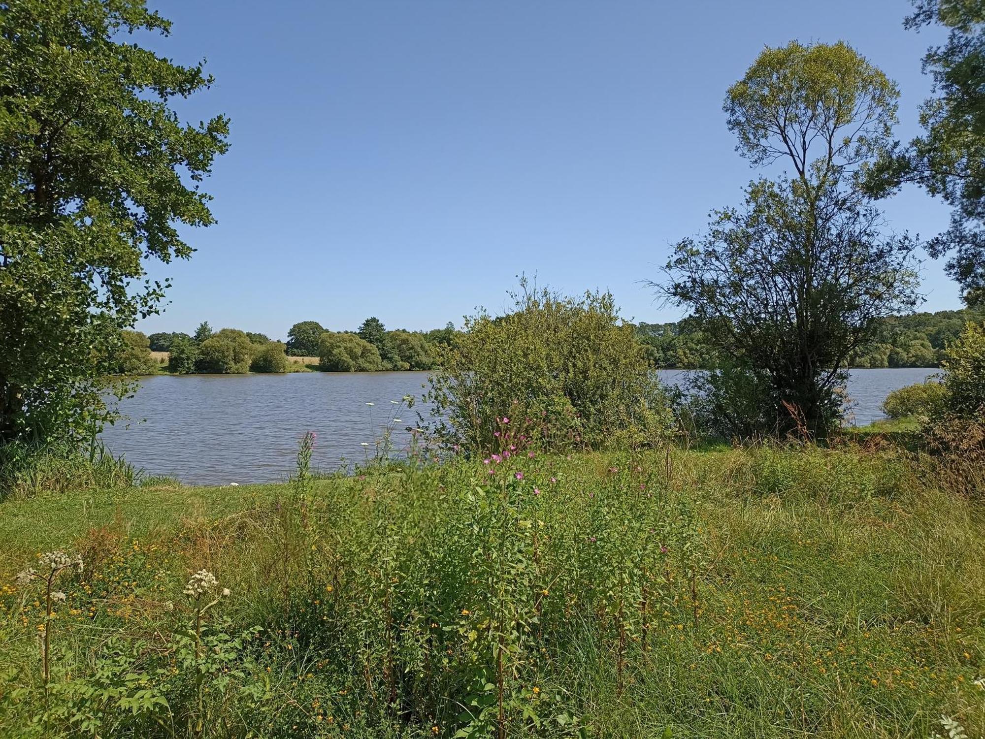 Gite Nature Et Detente Aubréville 외부 사진